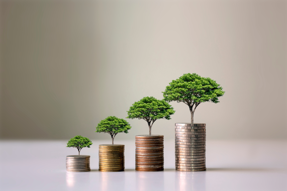 Understanding different investment styles